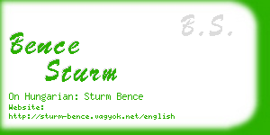 bence sturm business card